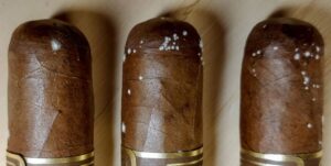 what is cigar plume