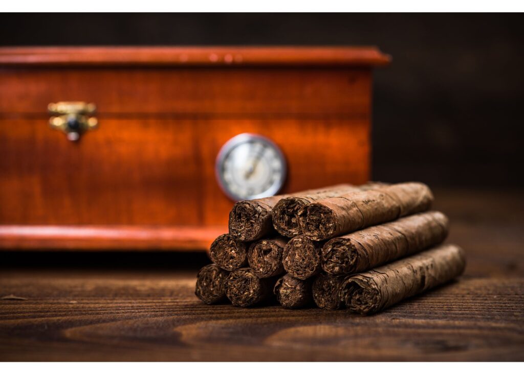 How to Store Cigars: A Beginner's Guide to Cigar Storage